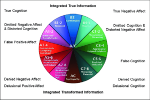 The Dynamic maturational model