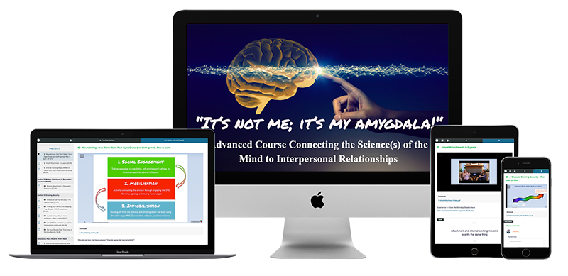 It's Not Me it's My Amygdala, Advanced Course in Growing Security