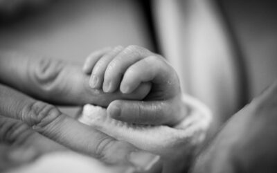 What Tiny Humans Can Teach Us About Adult Relating, with Neonatal Therapist Sue Ludwig (197)